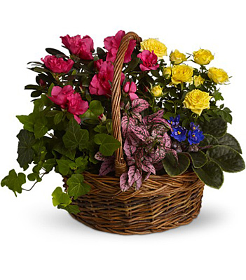 Blooming Garden Basket from Richardson's Flowers in Medford, NJ